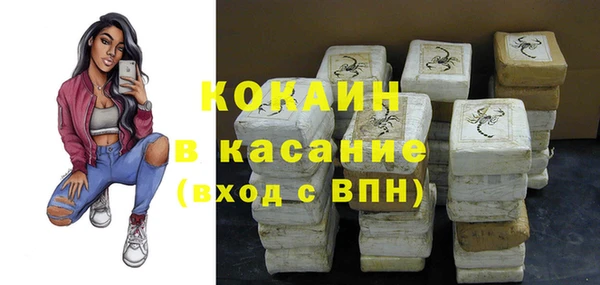 стафф Вяземский