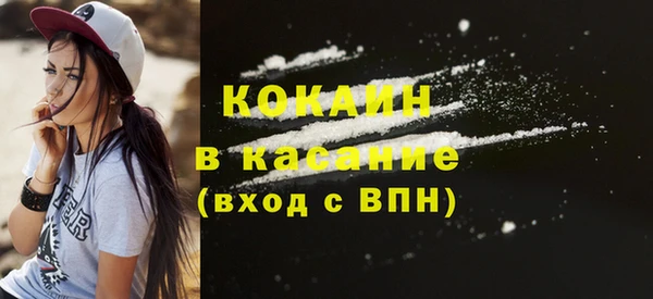 стафф Вяземский
