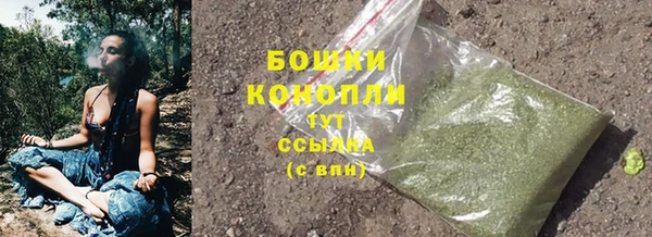 стафф Вяземский