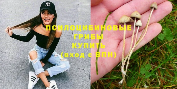 стафф Вяземский