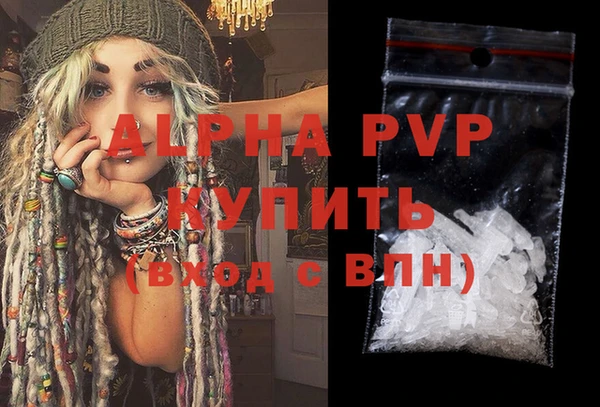 стафф Вяземский